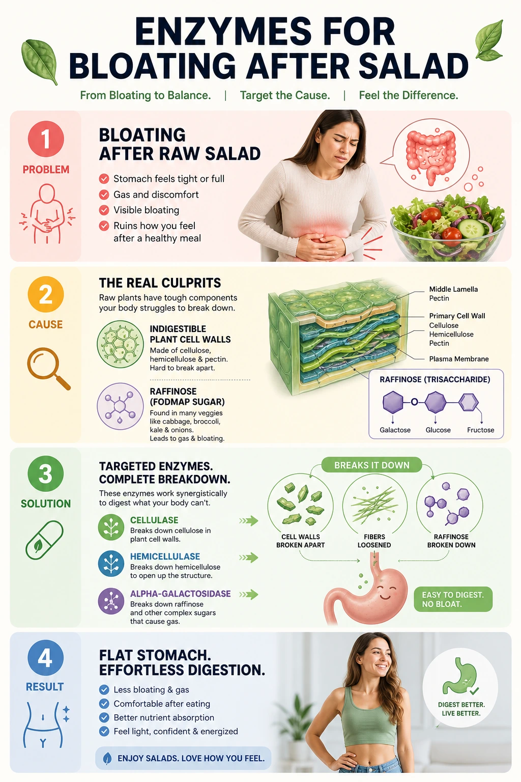 Enzymes for Bloating After Salad